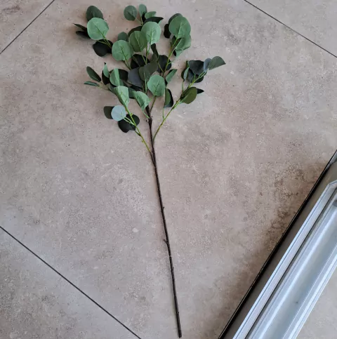 Vara Eucalipto Verde 85cm