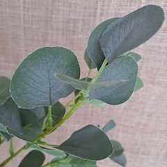 Vara Eucalipto Verde 85cm - kazaru