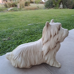 Perro Fox Terrier beige 32cm en internet
