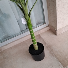 Imagen de Planta Palmera 110cm