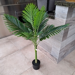 Planta Palmera 110cm en internet