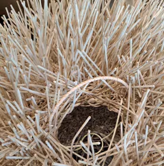 Lampara Pantalla Erizo de rattan 40cm - kazaru