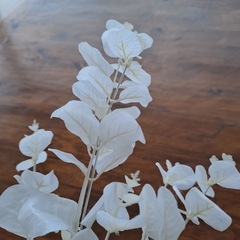 Vara Eucalipto Blanco 94cm - kazaru