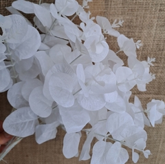 Vara Eucalipto Blanco 50cm en internet
