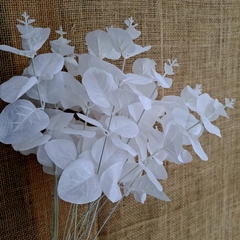 Vara Eucalipto Blanco 50cm - comprar online