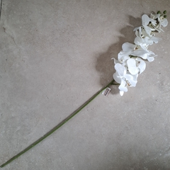 Vara Orquidea Blanca 102cm - comprar online