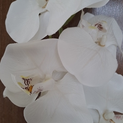 Vara Orquidea Blanca 102cm - tienda online