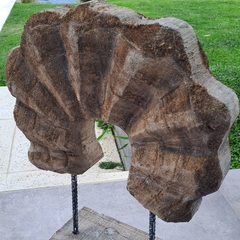 Escultura Adorno pedestal Fosil Madera Arco 49x34x13,5cm - comprar online