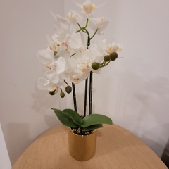 Julie Orquidea 50cm - kazaru
