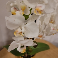 Julie Orquidea 50cm - tienda online