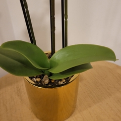 Julie Orquidea 50cm - kazaru
