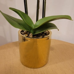 Julie Orquidea 50cm en internet