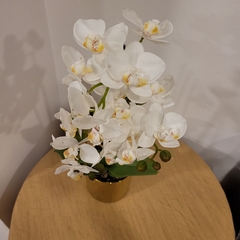Julie Orquidea 50cm - comprar online
