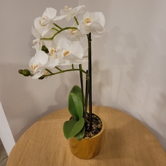 Imagen de Julie Orquidea 50cm