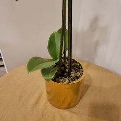 Julie Orquidea 50cm - tienda online
