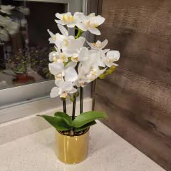 Julie Orquidea 50cm en internet