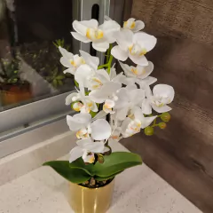 Julie Orquidea 50cm - comprar online