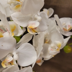 Imagen de Julie Orquidea 50cm