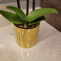 Julie Orquidea 50cm - tienda online