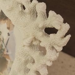 White Coral Portarretrato 10X15cm - kazaru