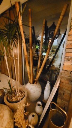 Cañas varas de Bambú de 200cm x 5cm de diámetro en internet