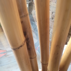 Cañas varas de Bambú de 200cm x 5cm de diámetro - kazaru