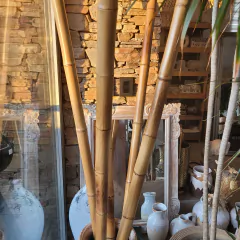Cañas varas de Bambú de 200cm x 5cm de diámetro - comprar online