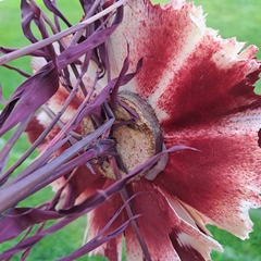 Imagen de Vara flor artesanal 110cm