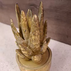 Imagen de Suculenta cerámica dorada maceta baja 18x8.5cm