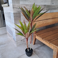 Planta Dracena Rubra 80cm - comprar online