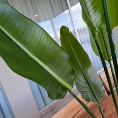 Planta Strelitzia real artificial 120cm - kazaru