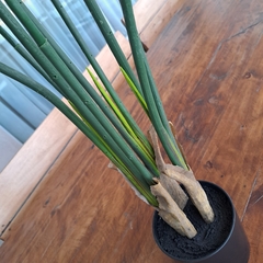 Imagen de Planta Strelitzia real artificial 120cm
