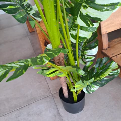 Planta Monstera Variegada Disciplinada artificial XL 170cm
