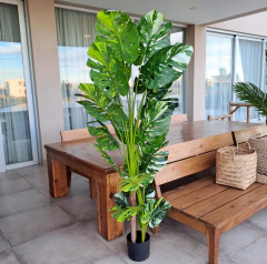 Planta Monstera Variegada Disciplinada artificial XL 170cm en internet