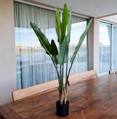 Planta Strelitzia real artificial 120cm en internet