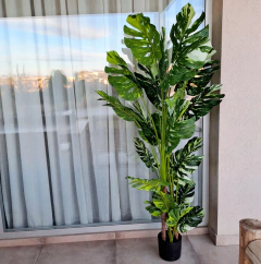 Planta Monstera Variegada Disciplinada artificial XL 170cm - kazaru