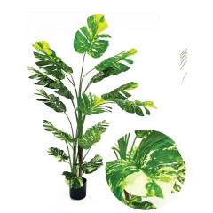 Planta Monstera Variegada Disciplinada artificial XL 170cm