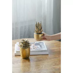 Suculenta cerámica dorada maceta alta 15.5x11cm - kazaru