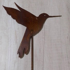 Tutor COLIBRI mediano
