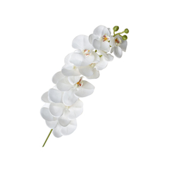 Vara Orquidea Blanca 102cm