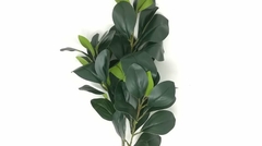 Vara Rama Hojas Verdes 80cm Fa126 - comprar online