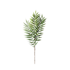 Vara Palmera Verde 40cm