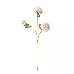 Ramo 3 Rosas CHAMPAGNE ROSADO 65cm - tienda online