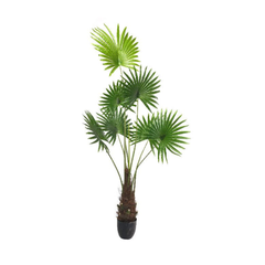 Palmera Washingtonia 160cm planta artificial