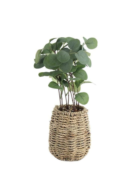 Maceta de mimbre con planta de hojas verdes en decoración para interior o exterior