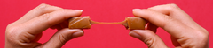 Banner da categoria Pingo de Leite