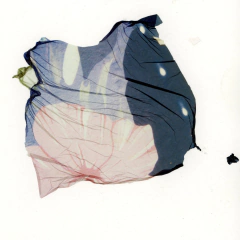 Cristal de Haluro | Iniciación a la Fotografía Analógica Experimental Presencial - tienda online