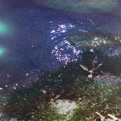 Combo Aurora | Film & Photobook - online store
