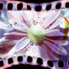 Negative Interventions | Initiation Workshop