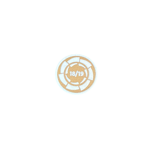 Campeón la liga 2018-2019 Barcelona